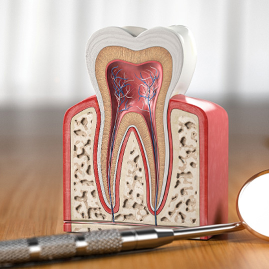 a model of a tooth with a dental mirror sitting next to it